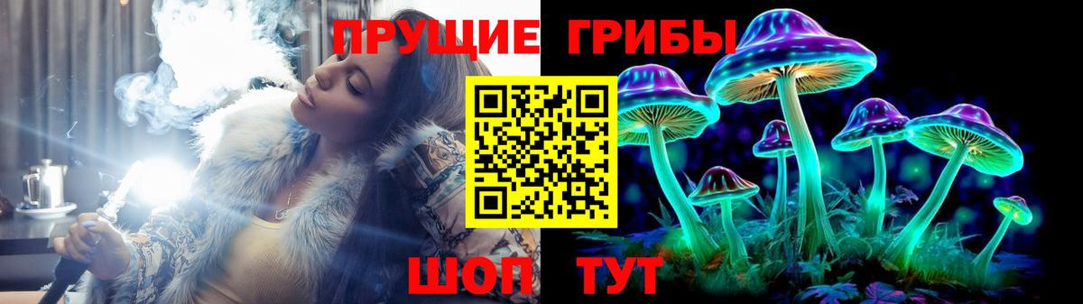 цены   Вход с VPN  Муром  Псилоцибиновые грибы Psilocybe 